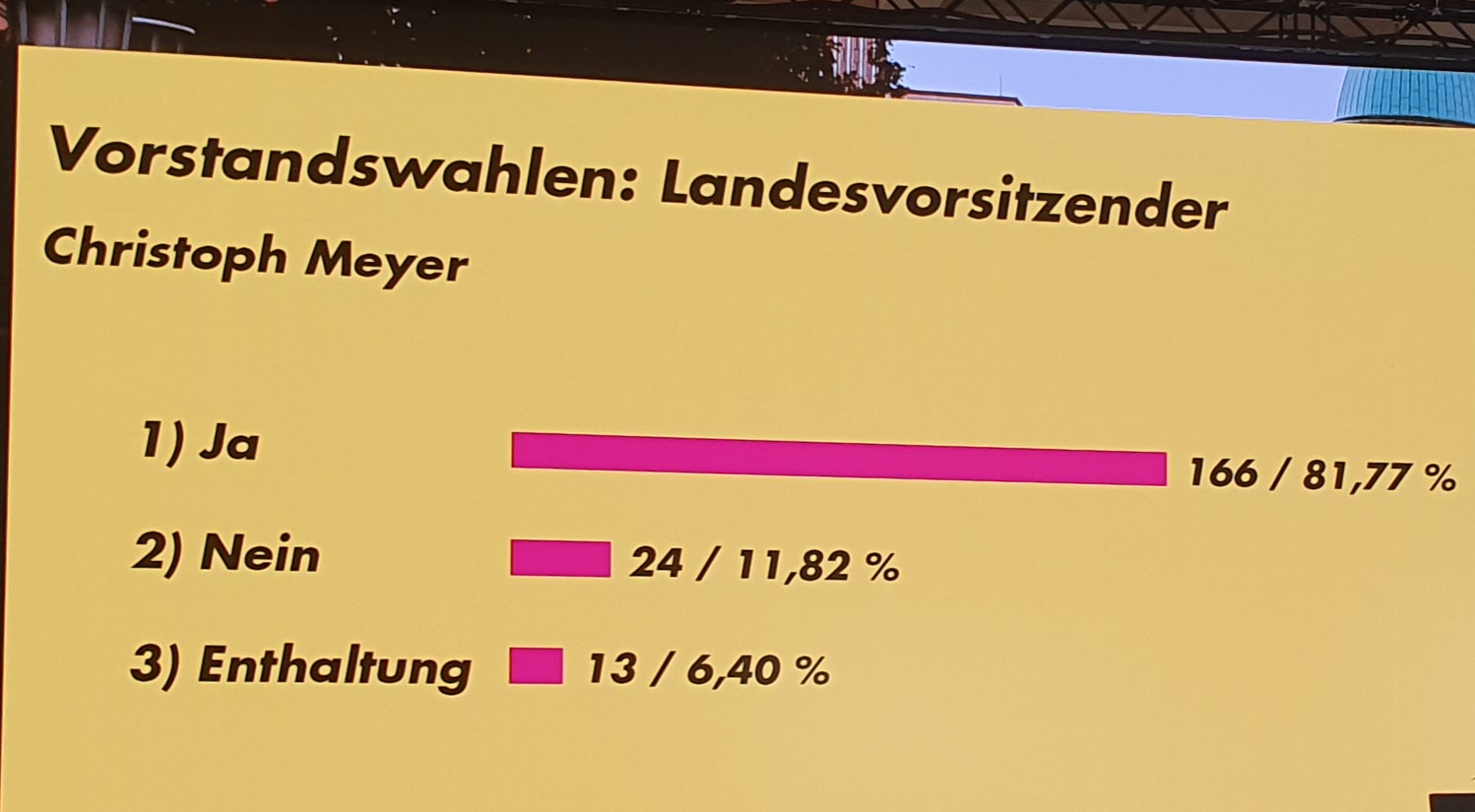 Christoph Meyer bleibt FDP-Landesvorsitzender