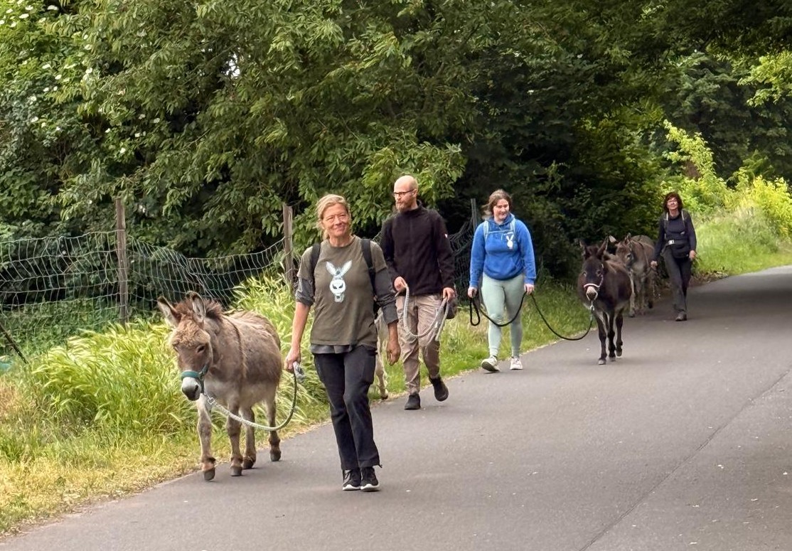 Aufgrund der Weigerung: Eselwanderung von Paaren durch Nauen