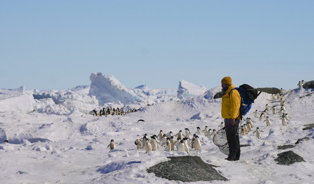 Mission Pinguin – Mit dem Segelboot in die Antarktis