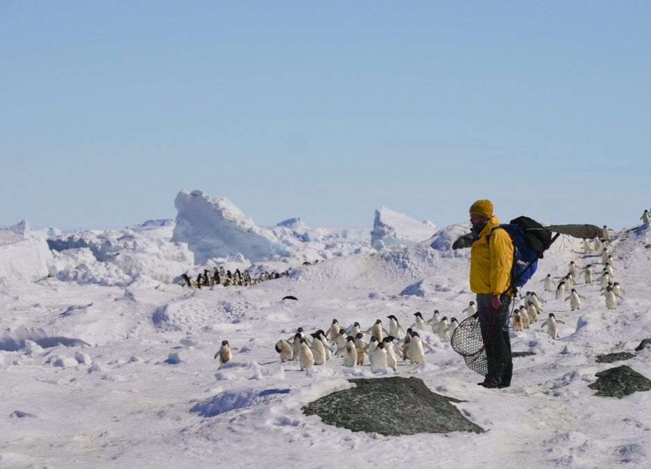 Mission Pinguin – Mit dem Segelboot in die Antarktis